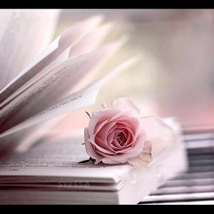 Meet your Posher, Lucy